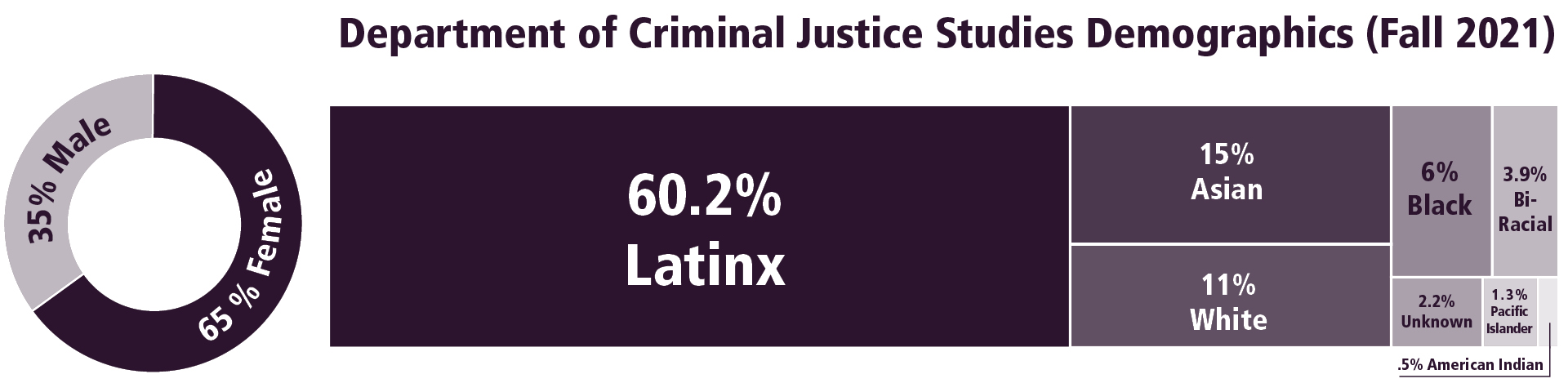 CJS Demographics Fall 2021 box graph